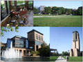 Professional Schools, universities