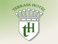 Lien direct sur le site du Terrass Hotel
