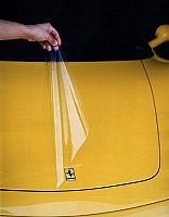 Carshield