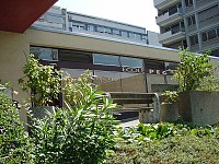 Ecole Peg