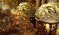 Le Fleuriste des Augustins
