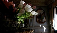 Le Fleuriste des Augustins