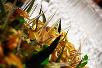 Saveurs Nomades  - 010