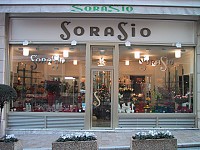 Sorasio Fleurs