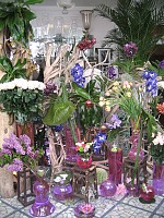 Sorasio Fleurs