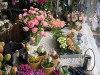 Sorasio Fleurs
