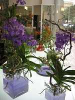 Sorasio Fleurs