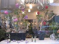 Sorasio Fleurs