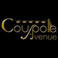 La Coupole Avenue - One of the best cabarets in Switzerland with exceptional decoration and reception.